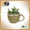 Cup Shape Natural Rattan Garden Flower Pot with Handle for Planting