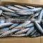 Frozen W/R Pacific Mackerel Good-quality Seafood Pacific Mackerel Fresh