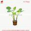 115 to 230cm Artificial Trees Dishlia Pots Plant Artificia House Plants Bonsai Tree
