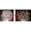color steel tile crusher