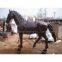 bronze horse sculpture,brass horse statue,horse sculpture