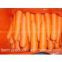 carrot,carrot supplier,Chinese carrot,fresh carrot