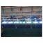 Best quality 254nm 400w uv lamp /water purification system