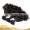 Best Selling High Quality 9a Grade New Funmi Double Drawn Curly Hair