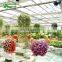 Low Cost Tourism Greenhouse For Sale
