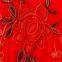 korea colourful flat embroidery lace fabric