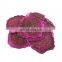 Tropical & Sub-Tropical Fruit Natural Taste AD Dried Fruit Sliced Original Flavor Dried Dragon Fruit