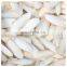 Small Cuttlebone Animal Feed Body Part Vitamins NATURE Bag Packaging Natural White Dried Cuttlefish Bone