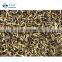 HACCP BRC KOSHER China Frozen Silk Black Fungus