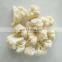 New Crop snow White 1-3 см, 2-4 см, 3-5 см, 4-6 см IQF Frozen Cauliflower Floret