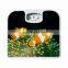 Greetmed Good price portable mechanical body bathroom scale