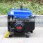 Bison China 110/220V Customized Gasoline Electric Generator For Home