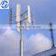 30kw Vertical Axis wind turbine permanent magnet generator (AC generator)