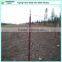 5 ft., 1.25 lb. per foot, Studded T Post