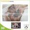 Cheap Custom 3d PP/PET plastic kids table mat