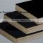 High quality Black Waterproof Film Faced Plywood