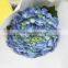 Colorful hot selling flower single stem blue hydrangea