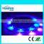 New 30LED/M DC5V APA108 Digital led strip 5050 magic digital dream color rgb led strip smd 5050 addressable rgb led strip led