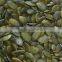 Light Green Pumpkin Seeds