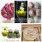 Artistic flower fairy Chinese blooming tea balls