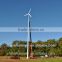 Hummer wind power generator 30kw wind generator set for small industry use/Windkraftanlage/Windrad