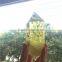 Citrine Quartz Crystal Healing Stone Pillars Point Wholesale