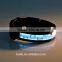 New Blue Cute Bear Nylon LED Dog Night Safety Collar Flashing Light up