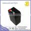 washington hot sale deep cycle lead acid storage battery 4v2ah 4V maintenance free SLA battery