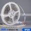 korea led flexible neon strip light