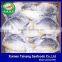 Frozen pompano fish 300-400g Frozen golden pomfret 300-500g