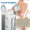 Alibaba Best Selling! Cryolipolyse Fast Slimming Machine at Factory Price