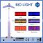 PDT Led Light Machine For Wrinkle Removal/Acne Treatment/ Red Light Therapy
