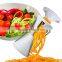 High quality 4 in 1 Kitchen Tools Spiral Vegetable cutter Slicer