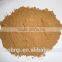 Extraction Polysaccharide Reishi Mushroom P.E.