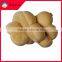 Comfortable Double Sided Fabric Flower Neck Shape Pillow