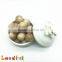 9mm FDA Raw Organic Beech Loose Wooden Teething Bead For Baby Toy