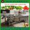 New Arrival Factory price Bubble fruit washing machine for sale