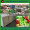 High Speed Ozone sterilizing vegetable washing machine / Bubble fruit washing machine