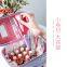 Make Up Tool Box  Make Up Organizer Box  Waterproof