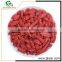 china wholesale market import organic goji berries