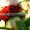 Organic Certified Kashmir Red Chilli Powder For Bulk Traders