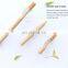 soft eco-friendly  bamboo toothbrush with replacement head