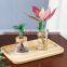 Transparent Hydroponic Flower Pot Imitation Glass Soilless Planting Potted Green Plant Resin Flower Pot Home Vase Decor