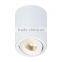 Interior decoration 10W high lumen LED ceiling surface Light led dimmable recessed light