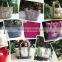 2016 Elves Japanese Magazine Canvas Art Shopping Bag One Shoulder Environmental Protection Book Handbag taobao made in china