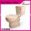 Economic sanitario china siphonic P-Trap water closet two piece Toilet