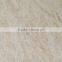 2016 Ruicheng new 300x300mm digital design ceramic floorl tile