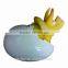 egg hatching toys growing egg toys in water