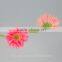 Kunming flower export long stem glass flowers pvc flower stem with 70-80cm long from Yunnan, China