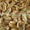 Roast Blanched Peanuts Splits